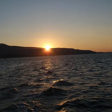 Ariana